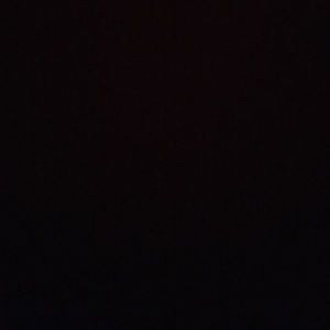 Meet your Posher, Rodney