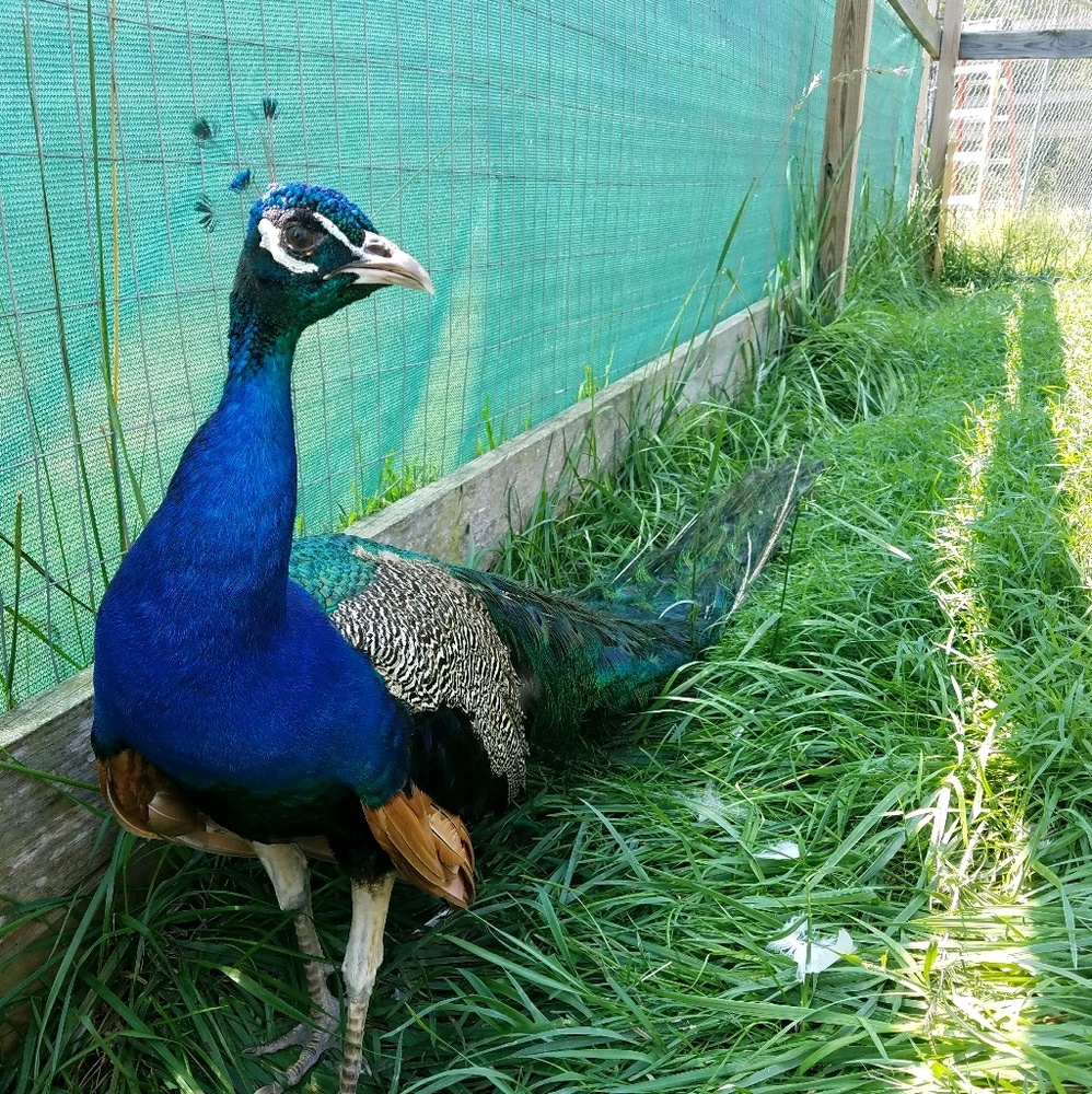 Meet your Posher, Leah