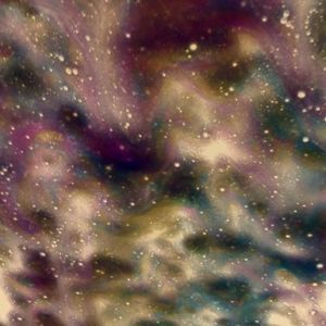 Meet your Posher, Travis