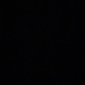 Meet your Posher, Lyssa