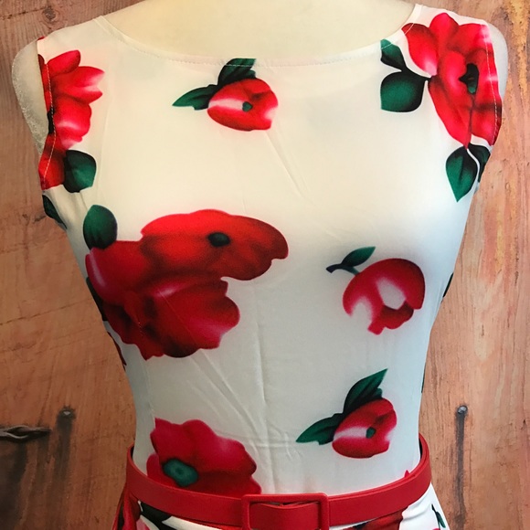 Gorgeous dress by Flower & Rain Clothing NWT❤️ - Picture 2 of 6