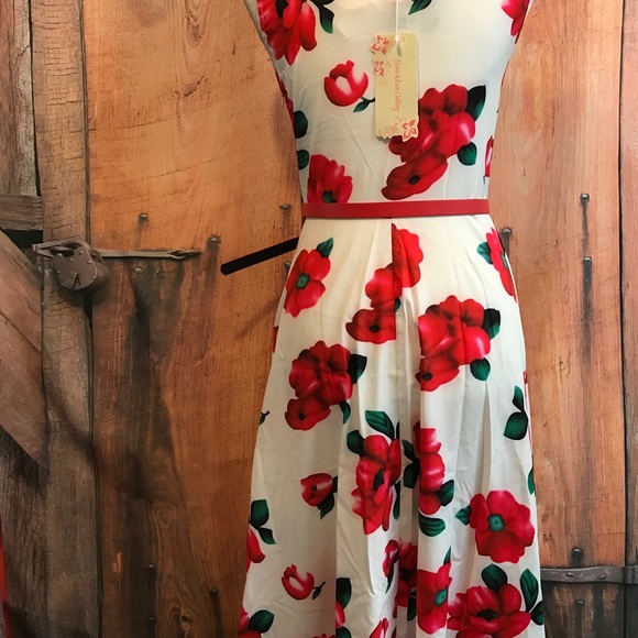 Gorgeous dress by Flower & Rain Clothing NWT❤️ - Picture 4 of 6