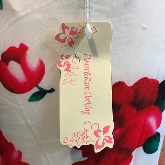 Gorgeous dress by Flower & Rain Clothing NWT❤️ - Picture 5 of 6