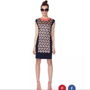 Webster Dress Sz 6 a Line Navy Blue Above Knee