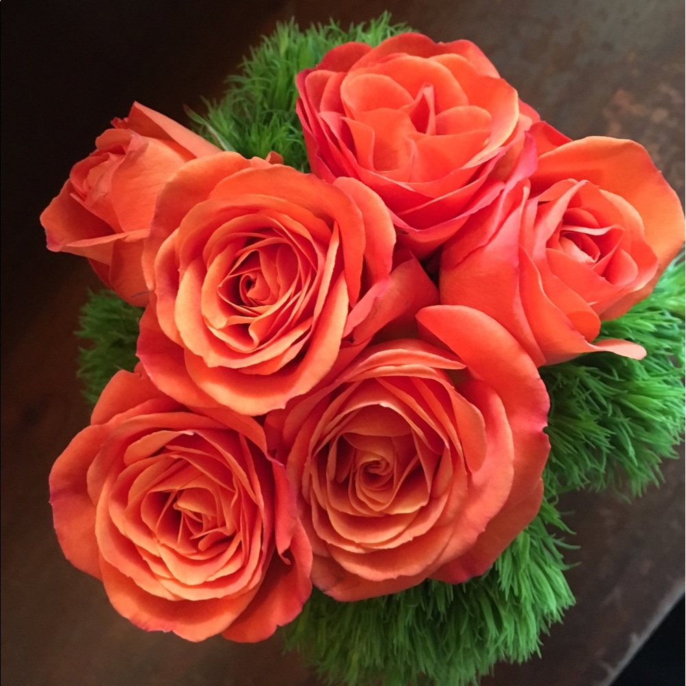 Meet your Posher, Trish