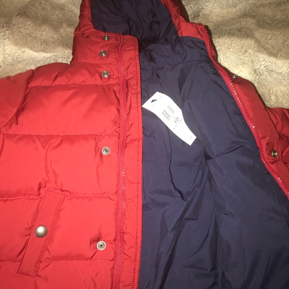 Ralph Lauren polo winter coat 2T - Picture 3 of 3