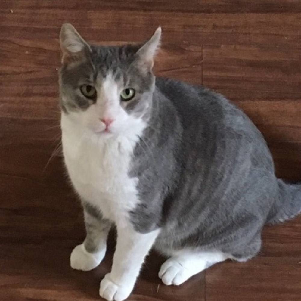 Meet your Posher, Jill