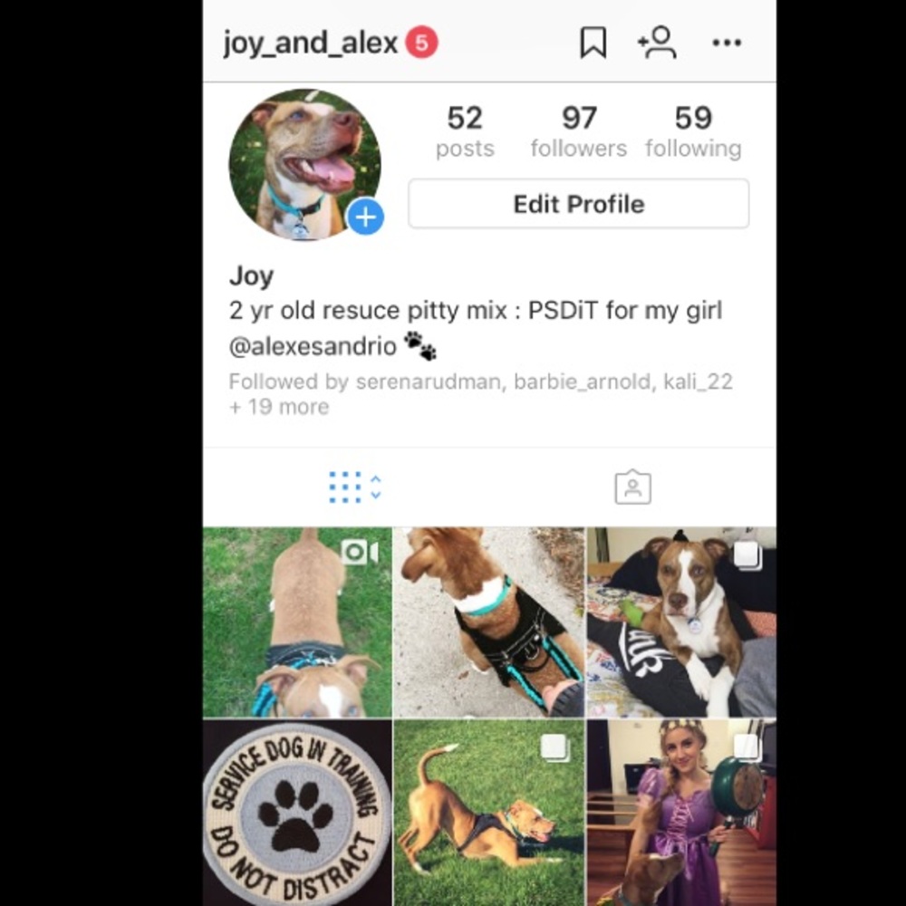 FOLLOW @joy_and_alex TO WATCH OUR JOURNEY