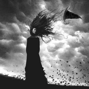 Meet your Posher, Robin