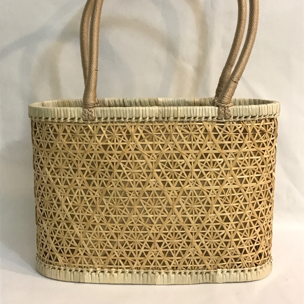 The Sak Handbag