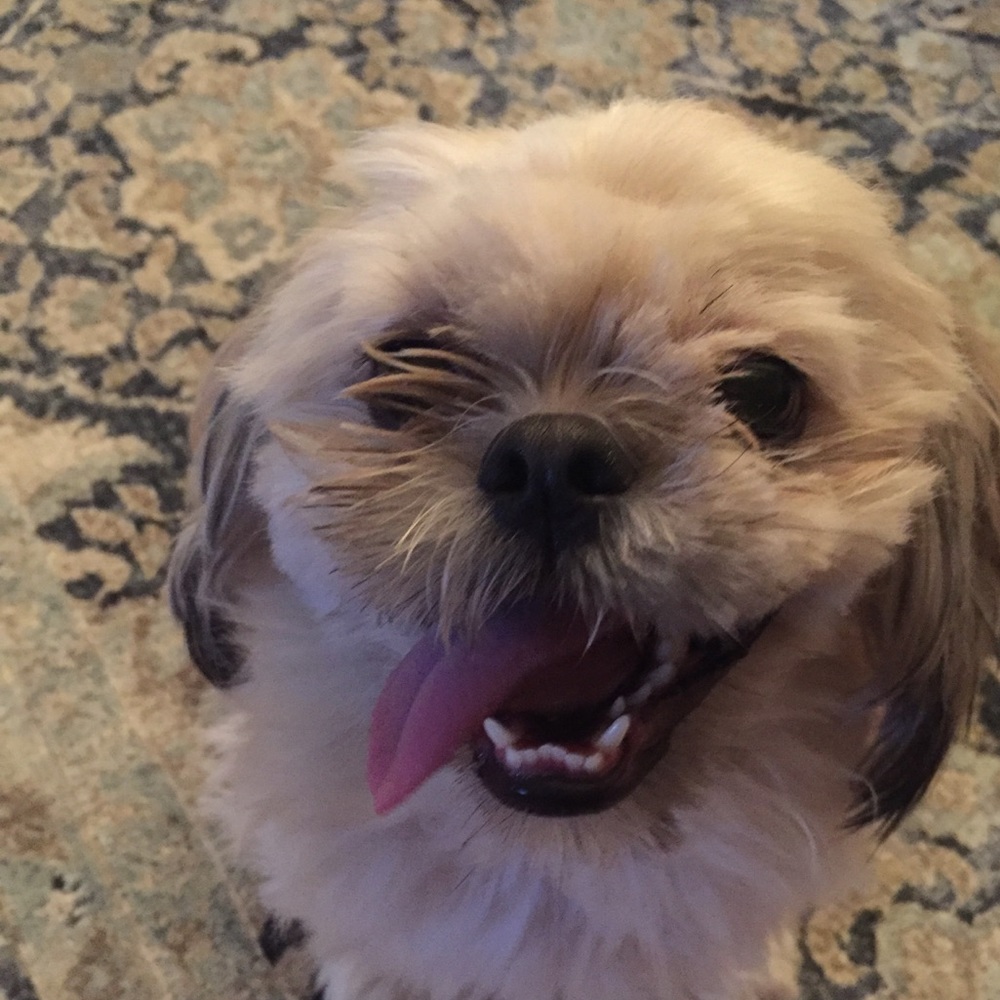 Meet your Posher, Stephanie