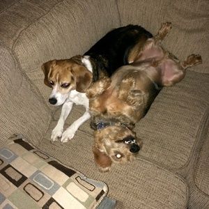 Meet your Posher, Tracy