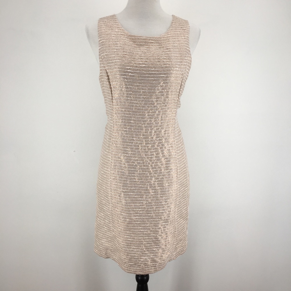 Pim + Larkin Shift Dress NWT!