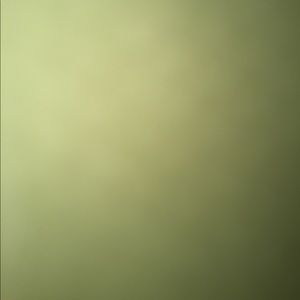 Meet your Posher, Janell