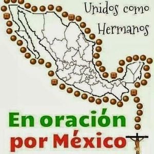 Meet your Posher, Edith