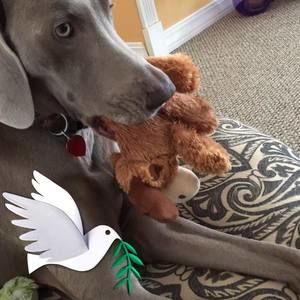 Meet your Posher, Lynne