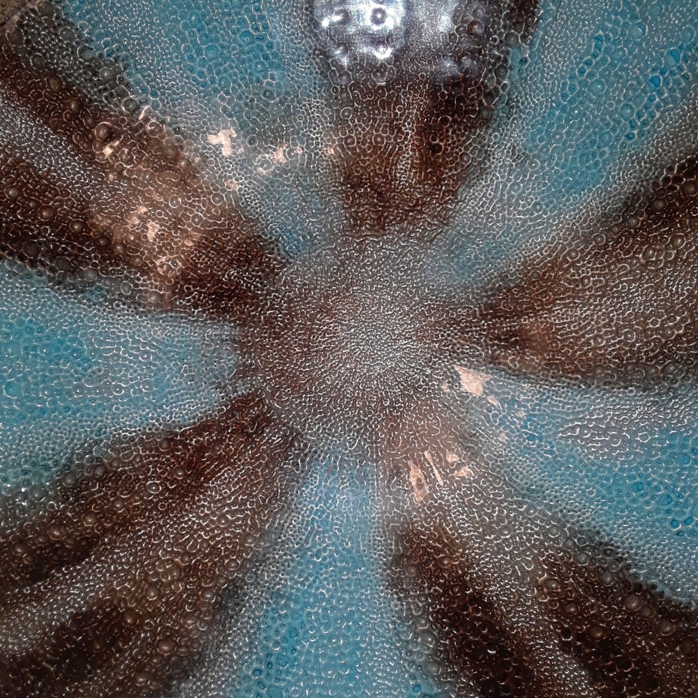 Meet your Posher, Darlenn