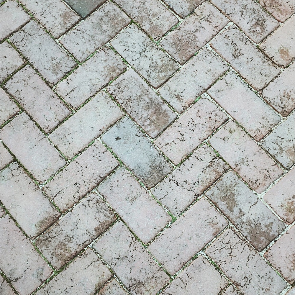 Meet your Posher, Bella