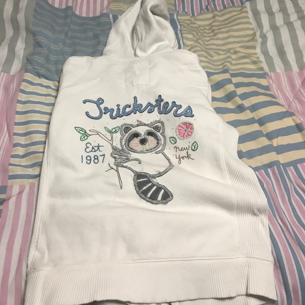 Aeropostale Hooded Sweatshirt - Picture 3 of 3