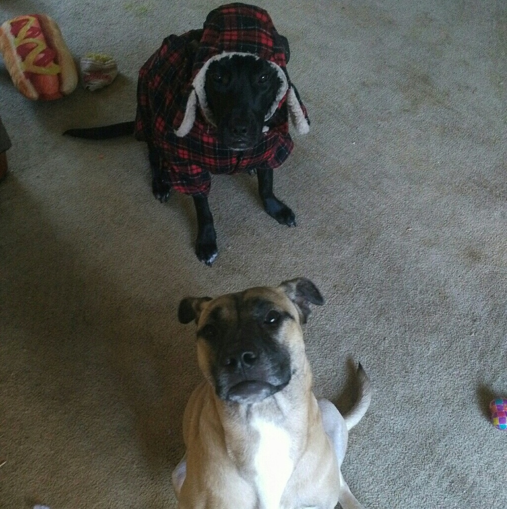 Add Your Like(S) To Bundle For Private Discount! - image 1