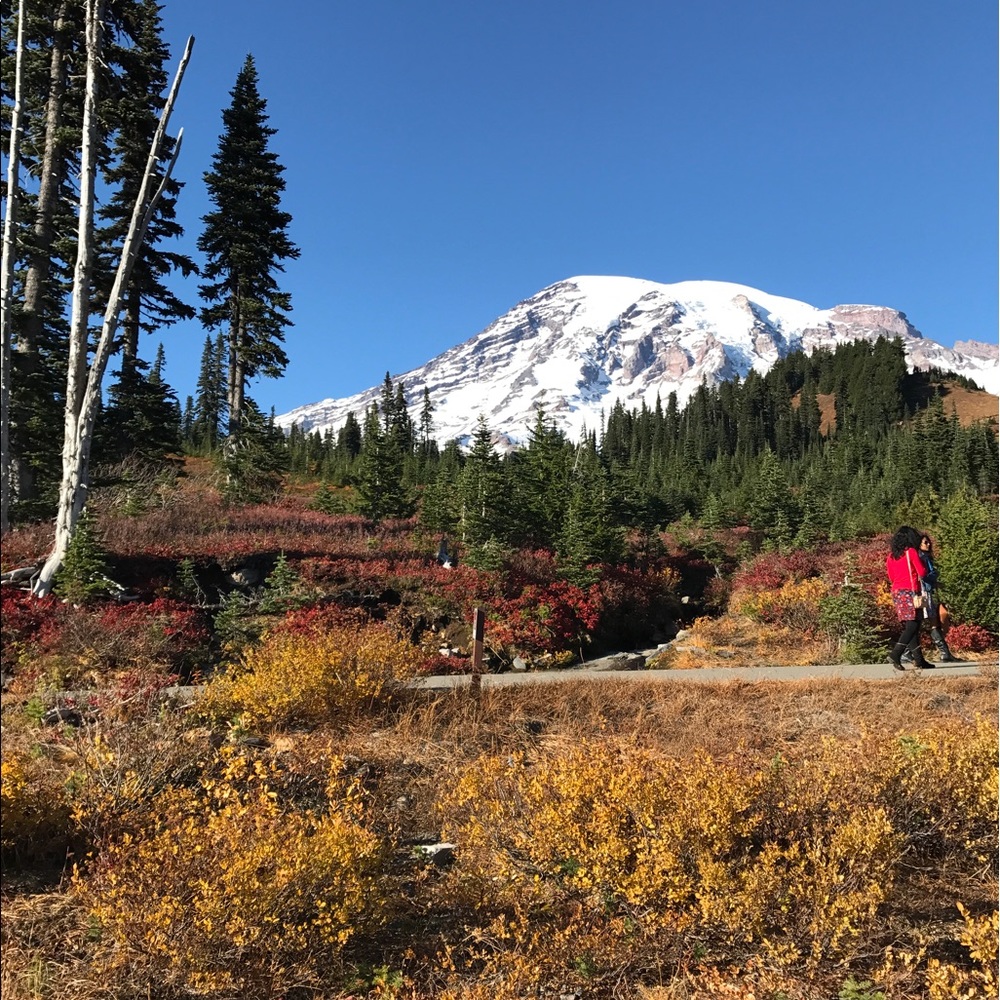 Meet your Posher, Leticia