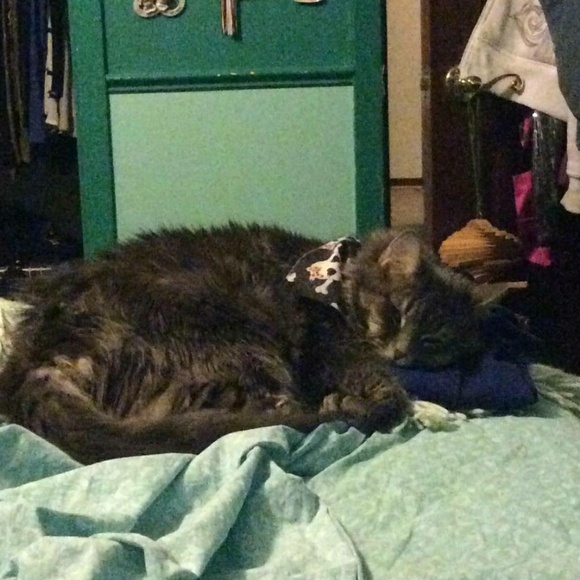 Meet Your Posher, Caroline! - Picture 3 of 7