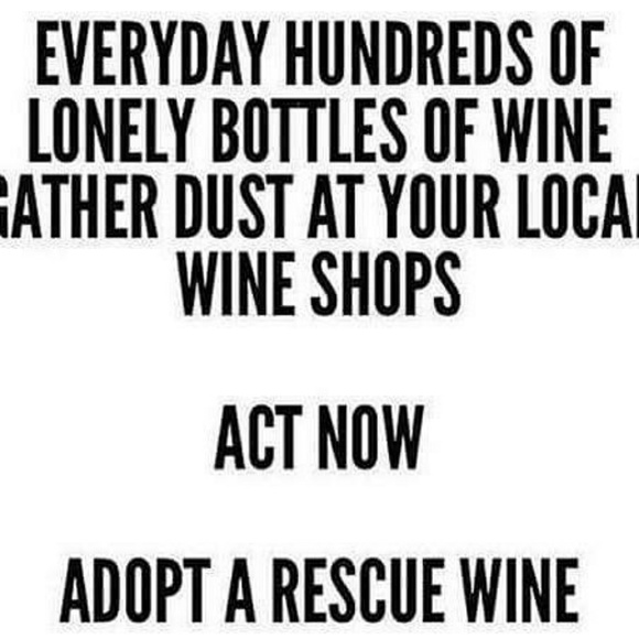 Meet Your Posher, Caroline! - Picture 7 of 7