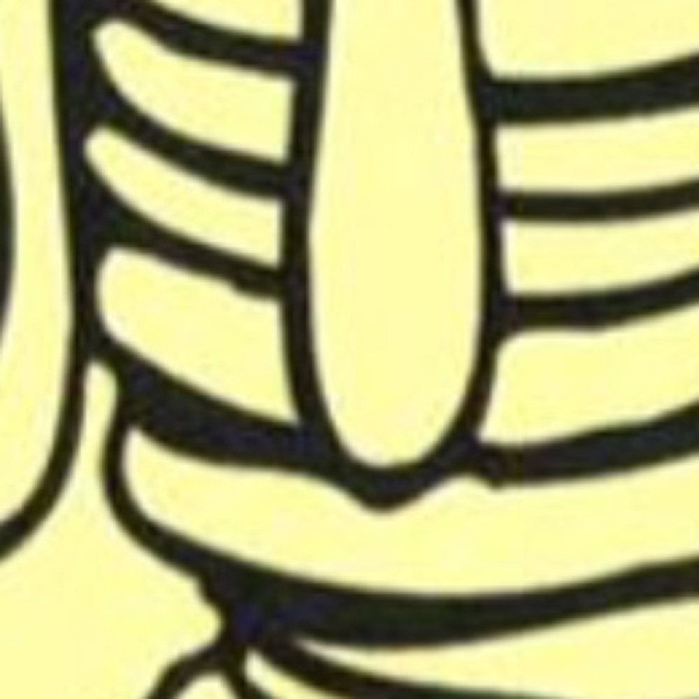 Meet your Posher, Diana