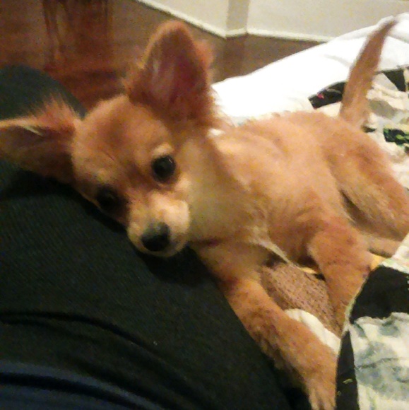 Meet your Posher, Tawonia - Picture 1 of 1