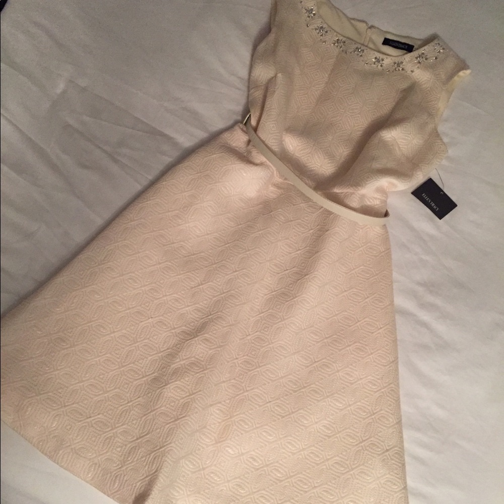 NWT Ellen Tracy Beautiful Cream A-Line Dress