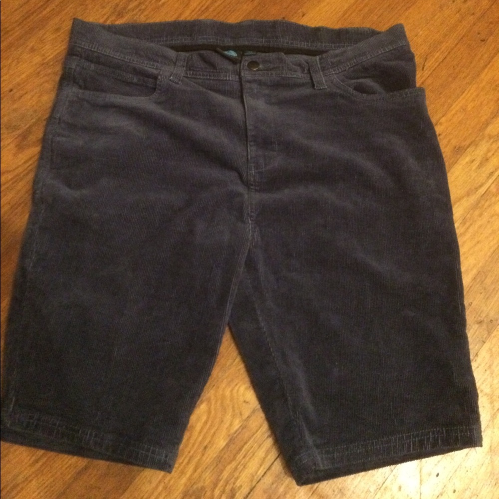 Blue Courdoroy (STRETCHY) skate shorts
