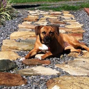 Meet your Posher, Renee