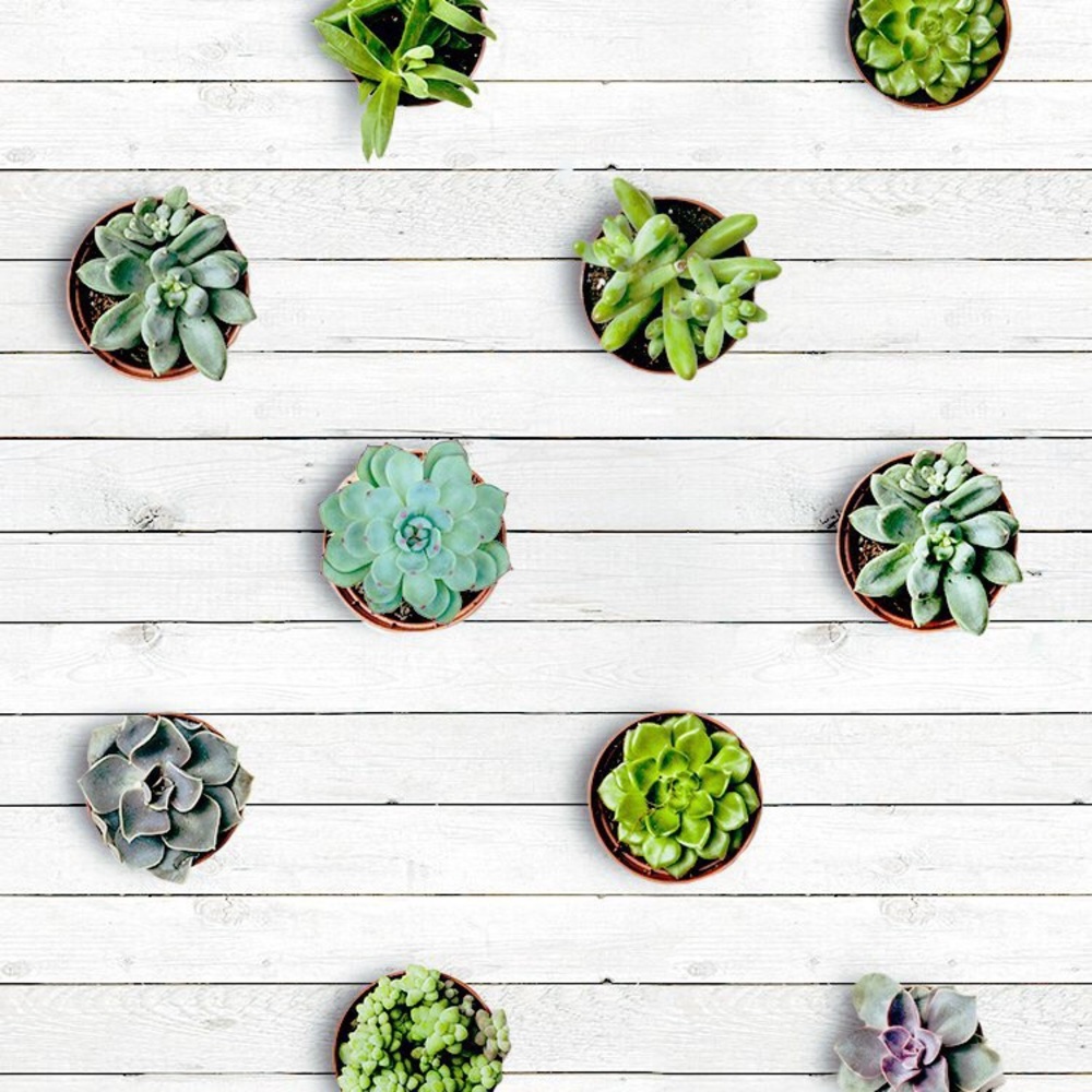 Meet your Posher, Ellie