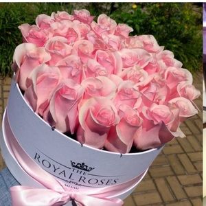 Meet your Posher, Aisha