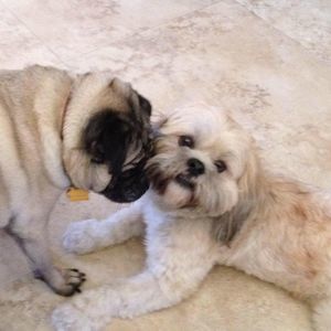 Meet your Posher, Roseanne