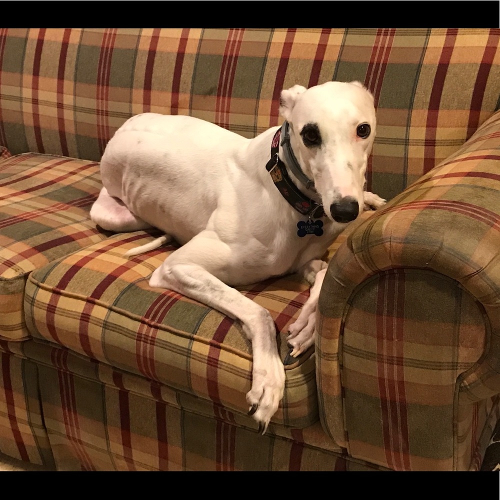 Meet your Posher, Kelly