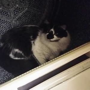 Meet your Posher, Tami