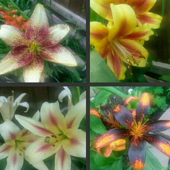 Meet your Posher, Kathleen - Picture 11 of 16