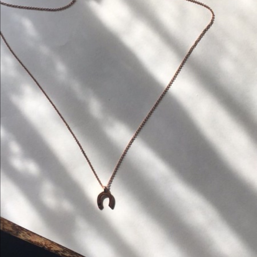Horse shoe necklace with sapphire