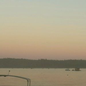 Meet your Posher, Lynessa