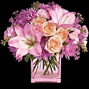 Meet your Posher, Anulik