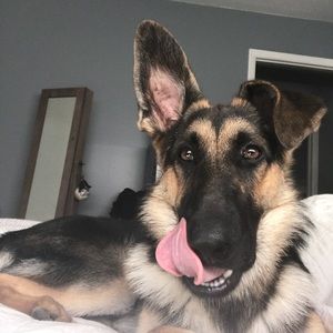 Meet your Posher, Ellis