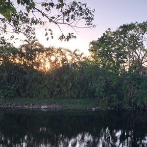 Meet your Posher, Bobby