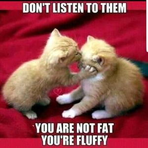 Meet your Posher, Harriet