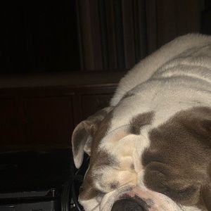 Meet your Posher, Floyd