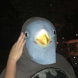 Meet your Posher, Seon