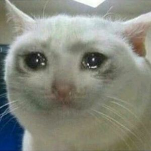 Meet your Posher, Richard