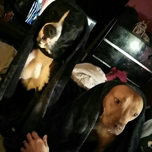 Meet your Posher, Miranda - Picture 3 of 4