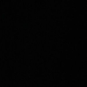 Meet your Posher, Wyatt