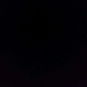 Meet your Posher, George